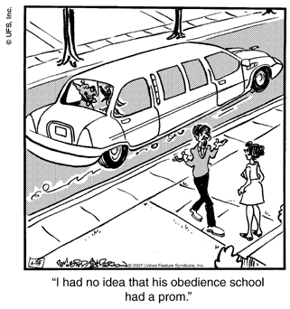 marmaduke